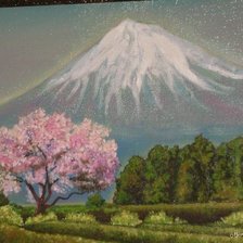 Схема вышивки «Снега и лепестки»