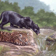 Схема вышивки «У реки»