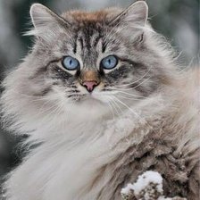 Схема вышивки «№2628329»