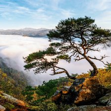 Схема вышивки «№2628398»