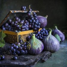 Схема вышивки «Инжир»