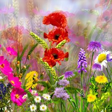 Схема вышивки «летнее разнотравье»