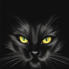 Схема вышивки «Из темноты...»