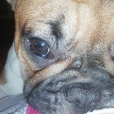 Схема вышивки «№2628700»