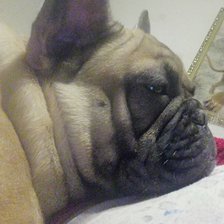 Схема вышивки «№2628733»