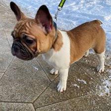 Схема вышивки «№2628740»