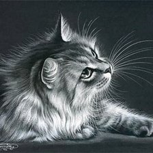 Схема вышивки «Котик»