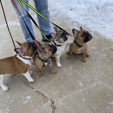 Мои французята.