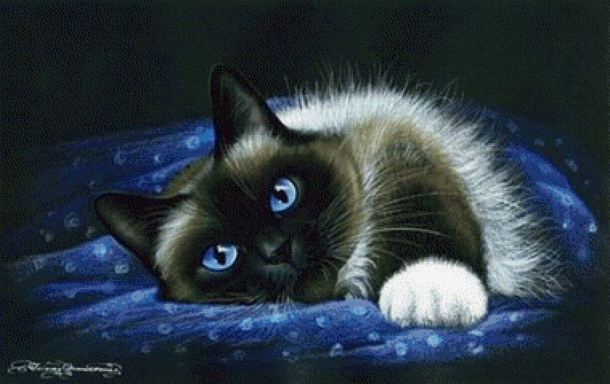 Кот ,, Пушок,, - пушок, , кот - предпросмотр