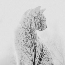 Схема вышивки «№2628872»