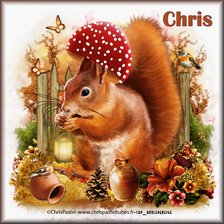 Схема вышивки «№2628921»