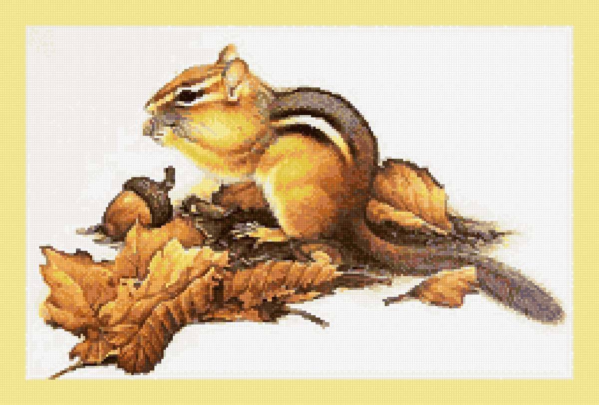 №2629054 - бурундуки, животные - предпросмотр