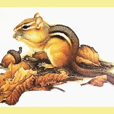 Схема вышивки «№2629054»