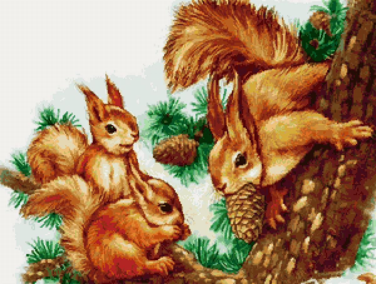 №2629079 - животные, белки - предпросмотр