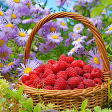 Схема вышивки «Малина в лукошке»