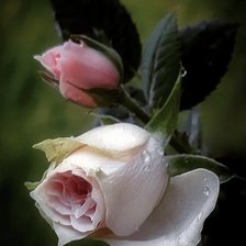 Схема вышивки «№2629386»