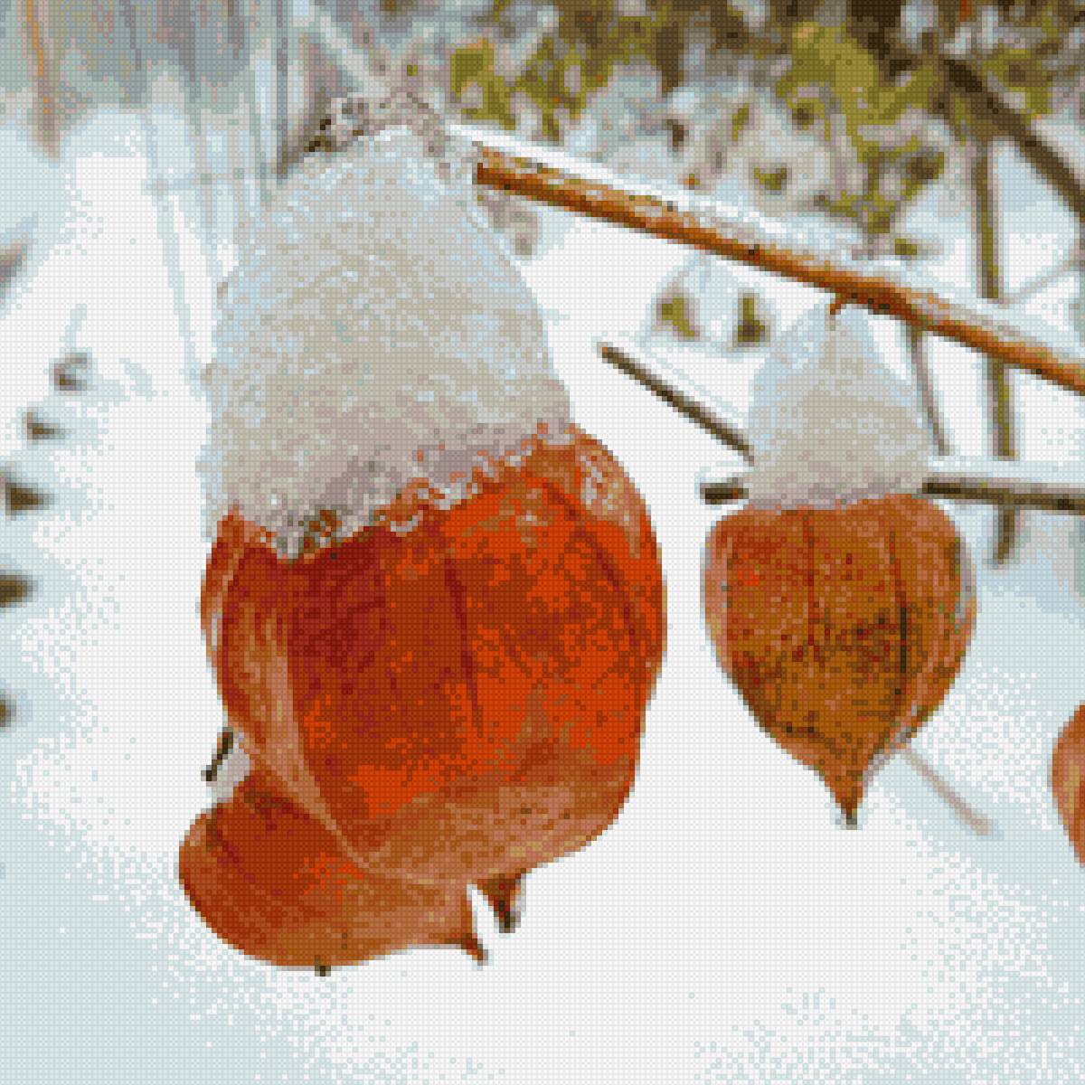 Первый снег - цветы, снег, природа - предпросмотр