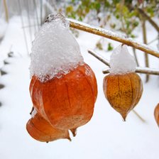 Схема вышивки «Первый снег»