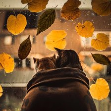 Схема вышивки «Вдвоем»