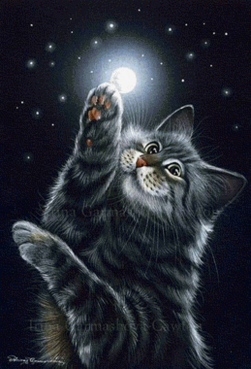 Серый кот - серый кот - предпросмотр