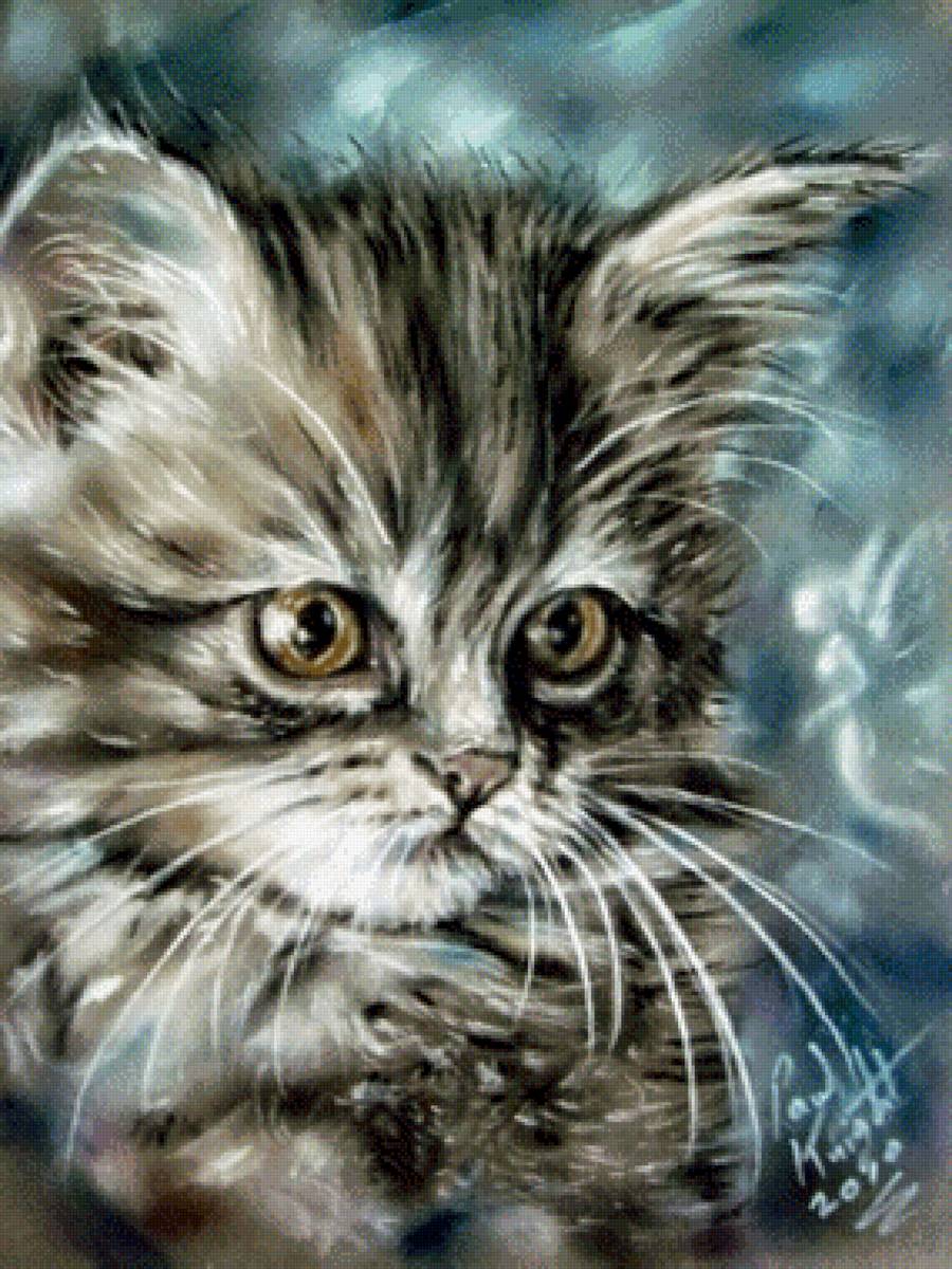 Малыш - кот - предпросмотр