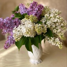 Схема вышивки «№2629896»