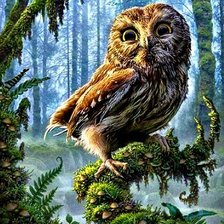 Схема вышивки «Сова»