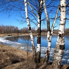 Схема вышивки «Весна»