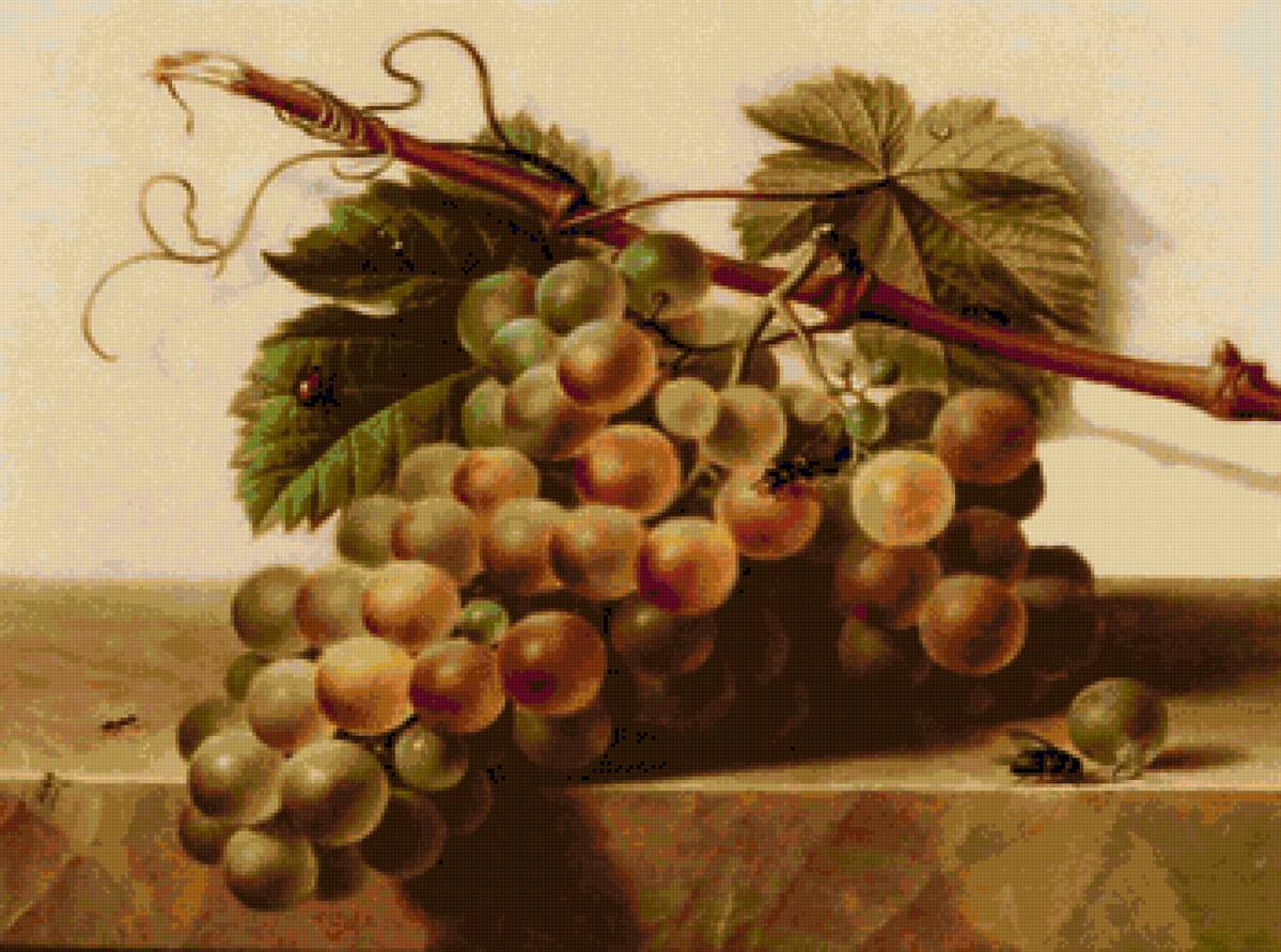 bodegones - предпросмотр