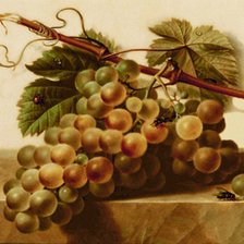 Схема вышивки «bodegones»