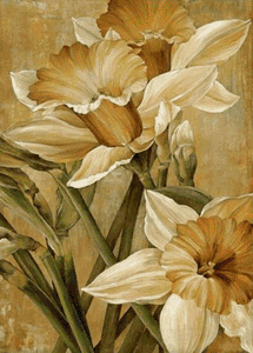 Нарциссы - весна, цветы, нарциссы - предпросмотр