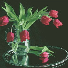 Схема вышивки «Тюльпаны»