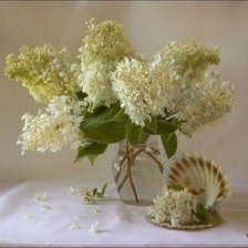 Схема вышивки «№2630697»