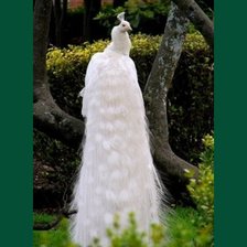 Схема вышивки «Белый водопад»