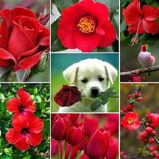 Схема вышивки «12»