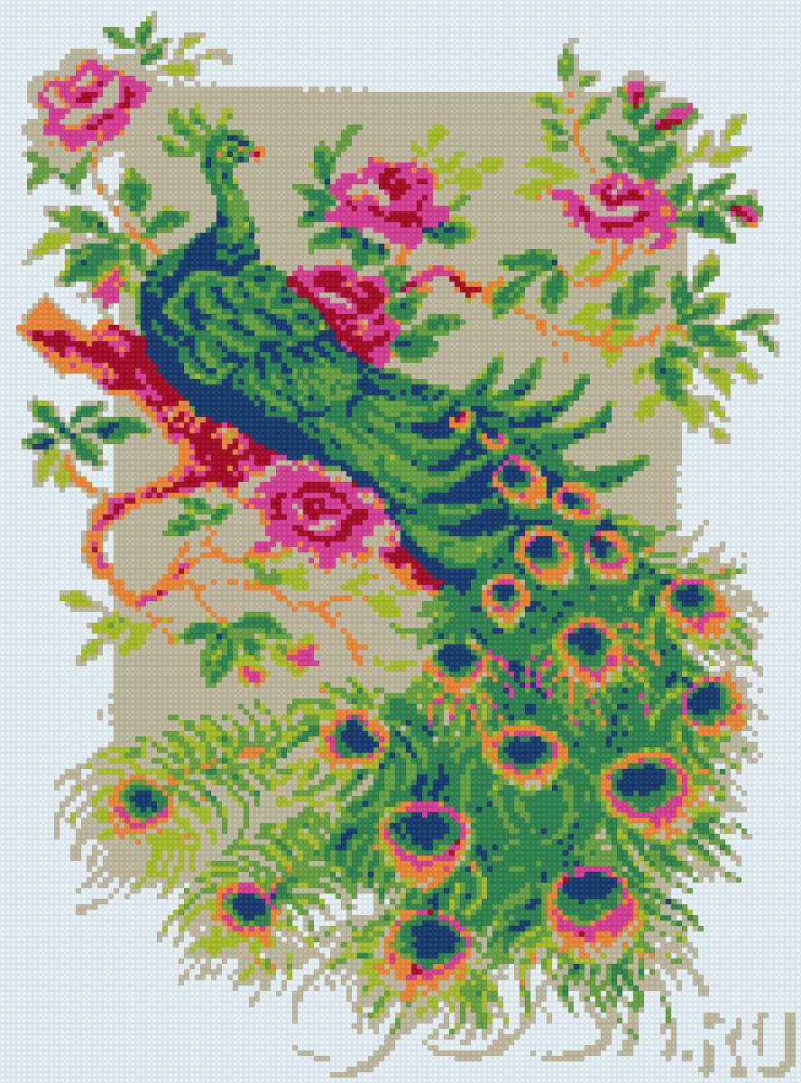 Павлин - предпросмотр