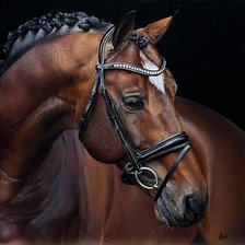 Схема вышивки «Кентавр»