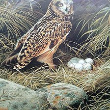 Схема вышивки «Совушкино гнездо»