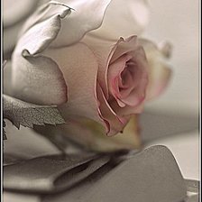 Схема вышивки «№2631186»