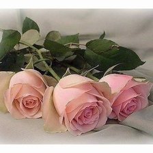 Схема вышивки «№2631193»