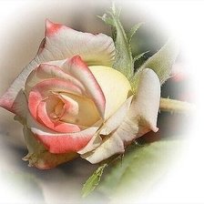 Схема вышивки «№2631194»