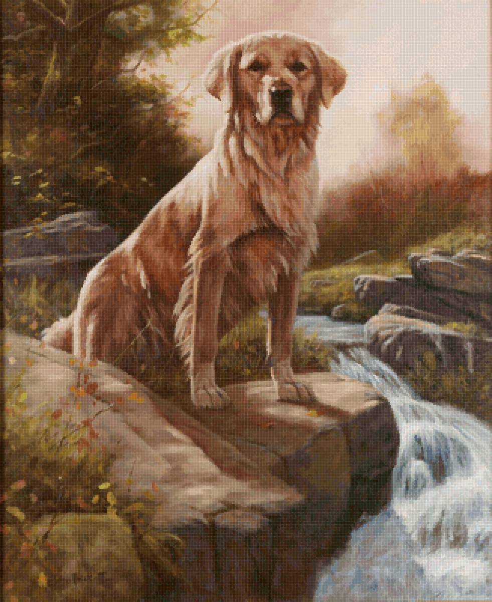 John Trickett - щенок, собака - предпросмотр