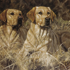 Схема вышивки «John Trickett»