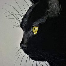 Схема вышивки «Gatito»