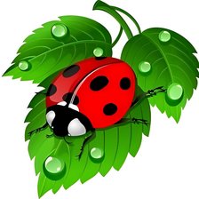 Схема вышивки «Божья коровка»