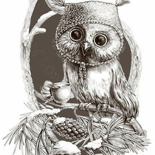 Схема вышивки «Совенок проснулся»