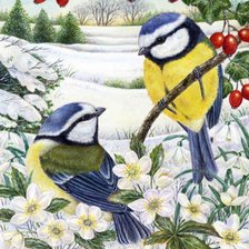 Схема вышивки «Синицы»