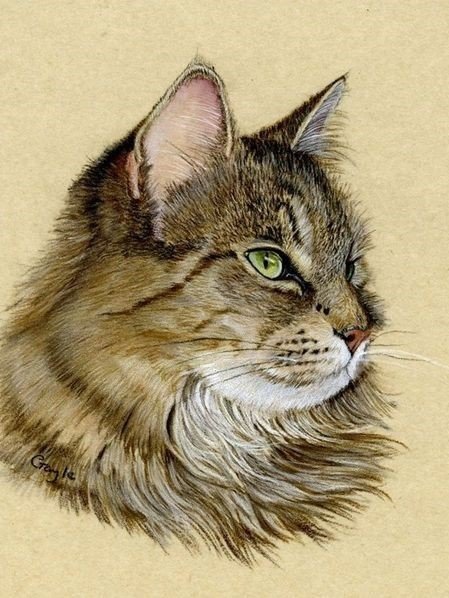 Кот - кот 🐱 - оригинал