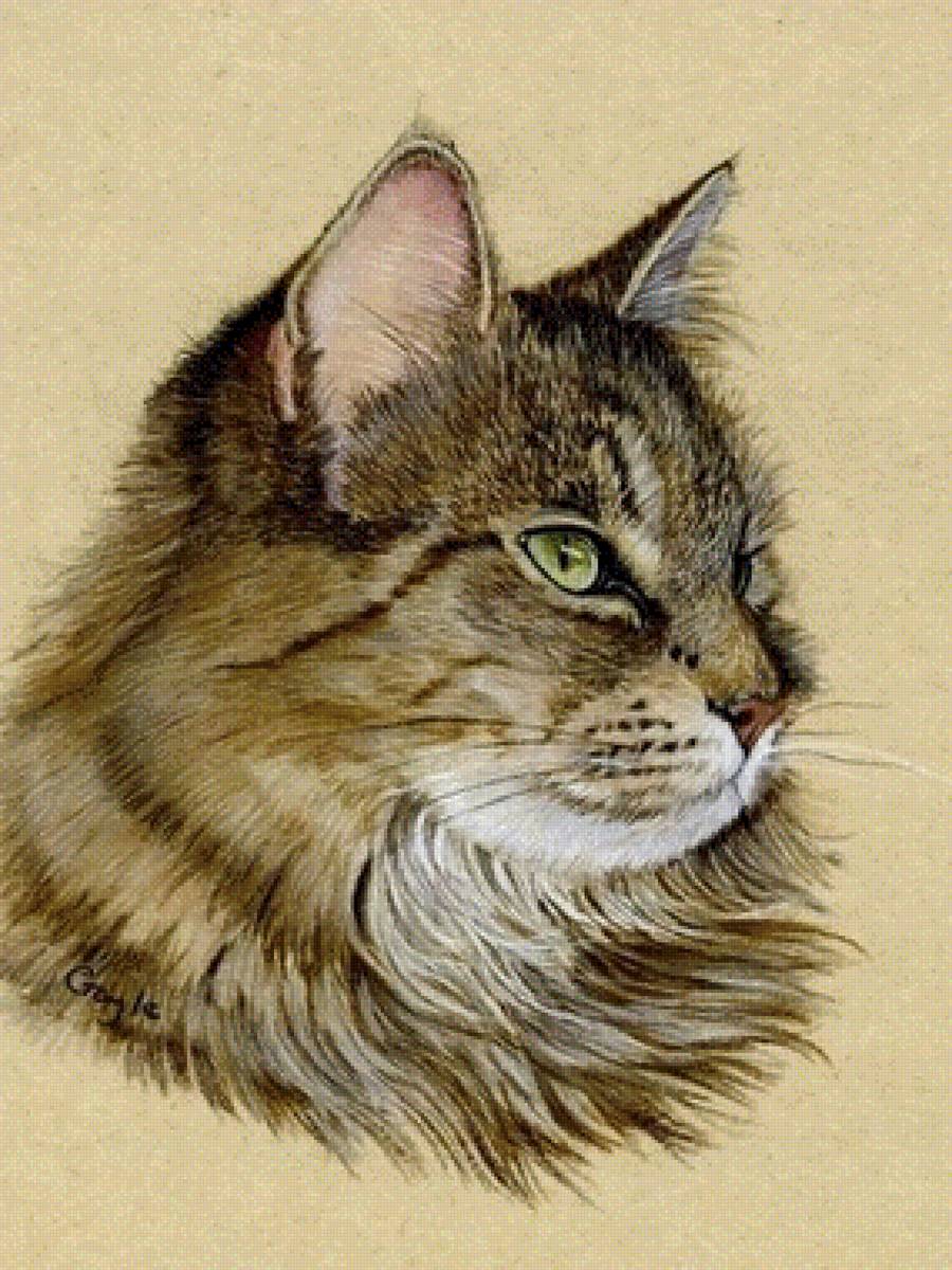 Кот - кот 🐱 - предпросмотр