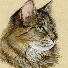 Схема вышивки «Кот»